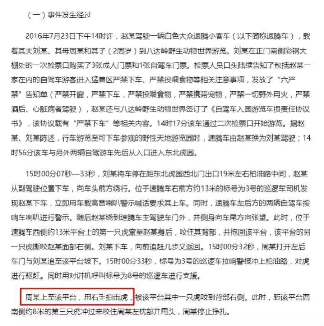 环环已经懒得去想，那个气性很大的赵某为什么偏要下车。环环一直忍不住想，她的母亲用右手拍击老虎时，是怎样的心情……