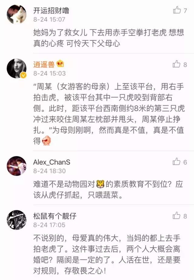“老虎吃人”事件中，监控镜头外的一个细节让人想哭…