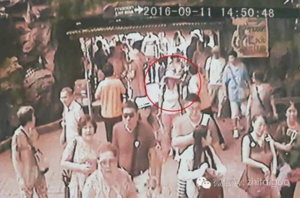 中国女游客在泰国虎园失踪,两百人搜寻未果,园内有100多只老虎