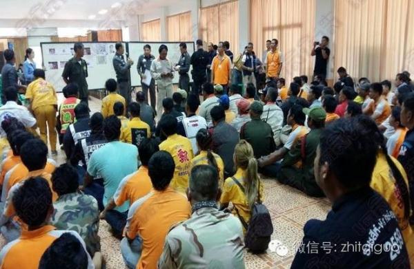 中国女游客在泰国虎园失踪,两百人搜寻未果,园内有100多只老虎