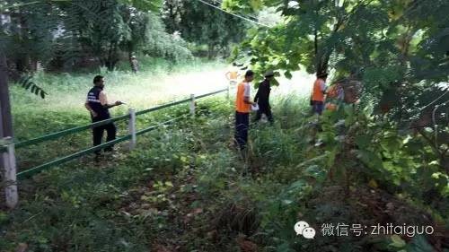 中国女游客在泰国虎园失踪,两百人搜寻未果,园内有100多只老虎