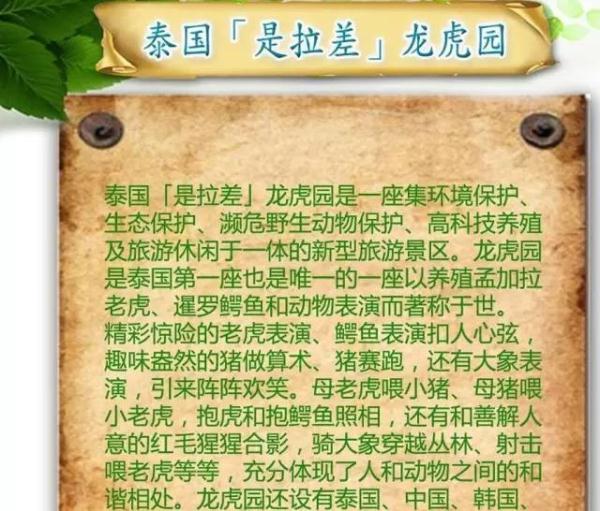 中国女游客在泰国虎园失踪,两百人搜寻未果,园内有100多只老虎