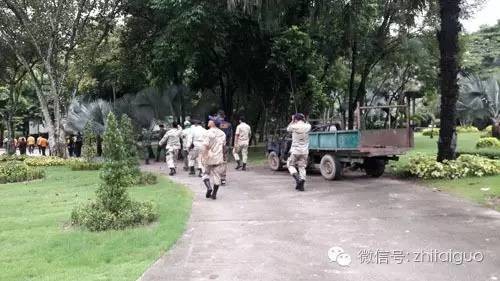 中国女游客在泰国虎园失踪,两百人搜寻未果,园内有100多只老虎