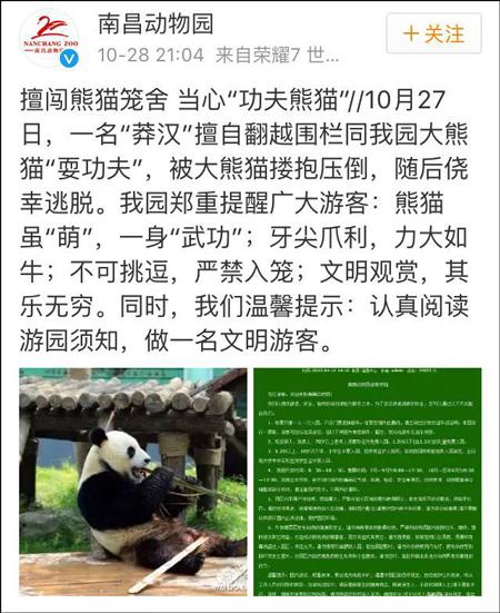 南昌动物园补充道,该男子逃离后未向园方反映情况,动物园检查之后确认美灵没有受伤或受到惊吓。