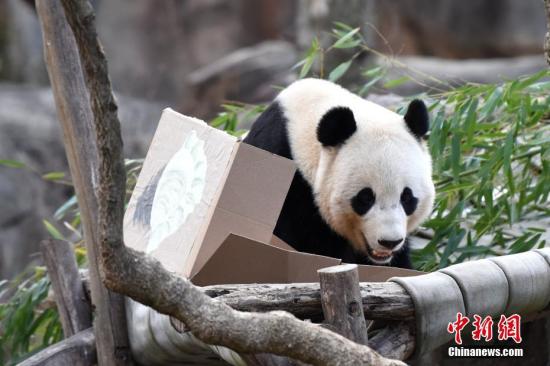点击进入下一页