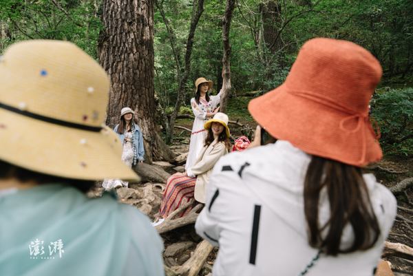 2019年8月4日,属都湖景区,游客离开步行栈道,进入云杉林中留影。